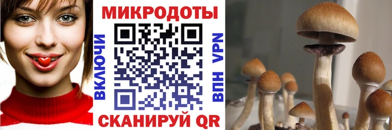 omg сайт  Макаров  Галлюциногенные грибы мухоморы 